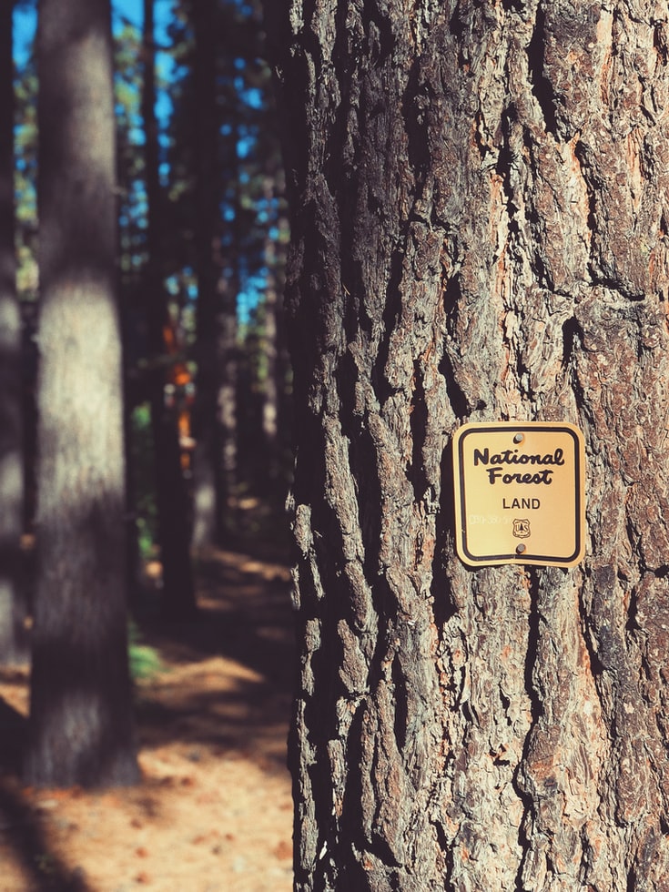 Public Land Public Land