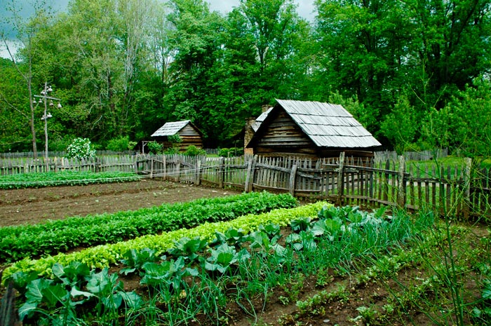 Off Grid Farm & Garden Off Grid Farm & Garden