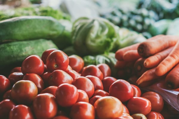Start Growing Your Own Food Now
