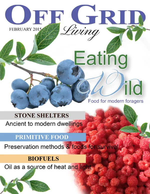 February 2015 — cover