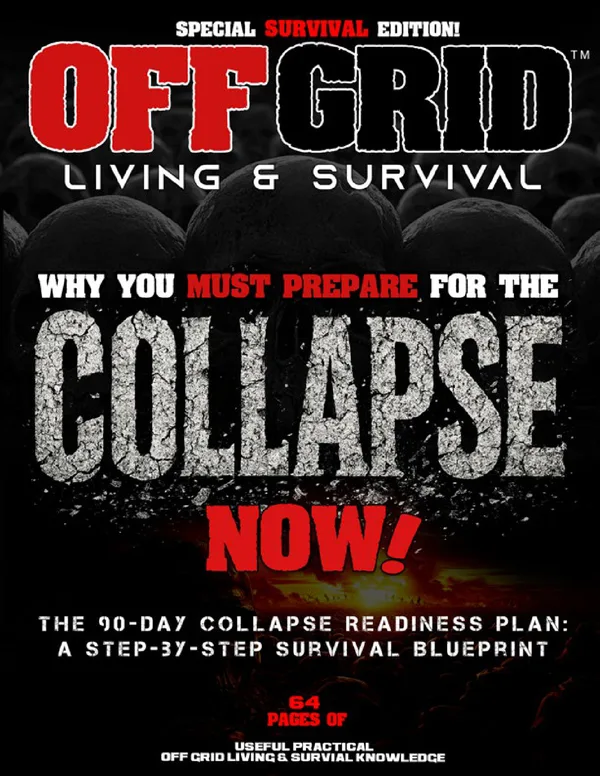 Special: Survive The Collapse — cover